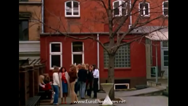 Wet Cats 1979 Full Movie