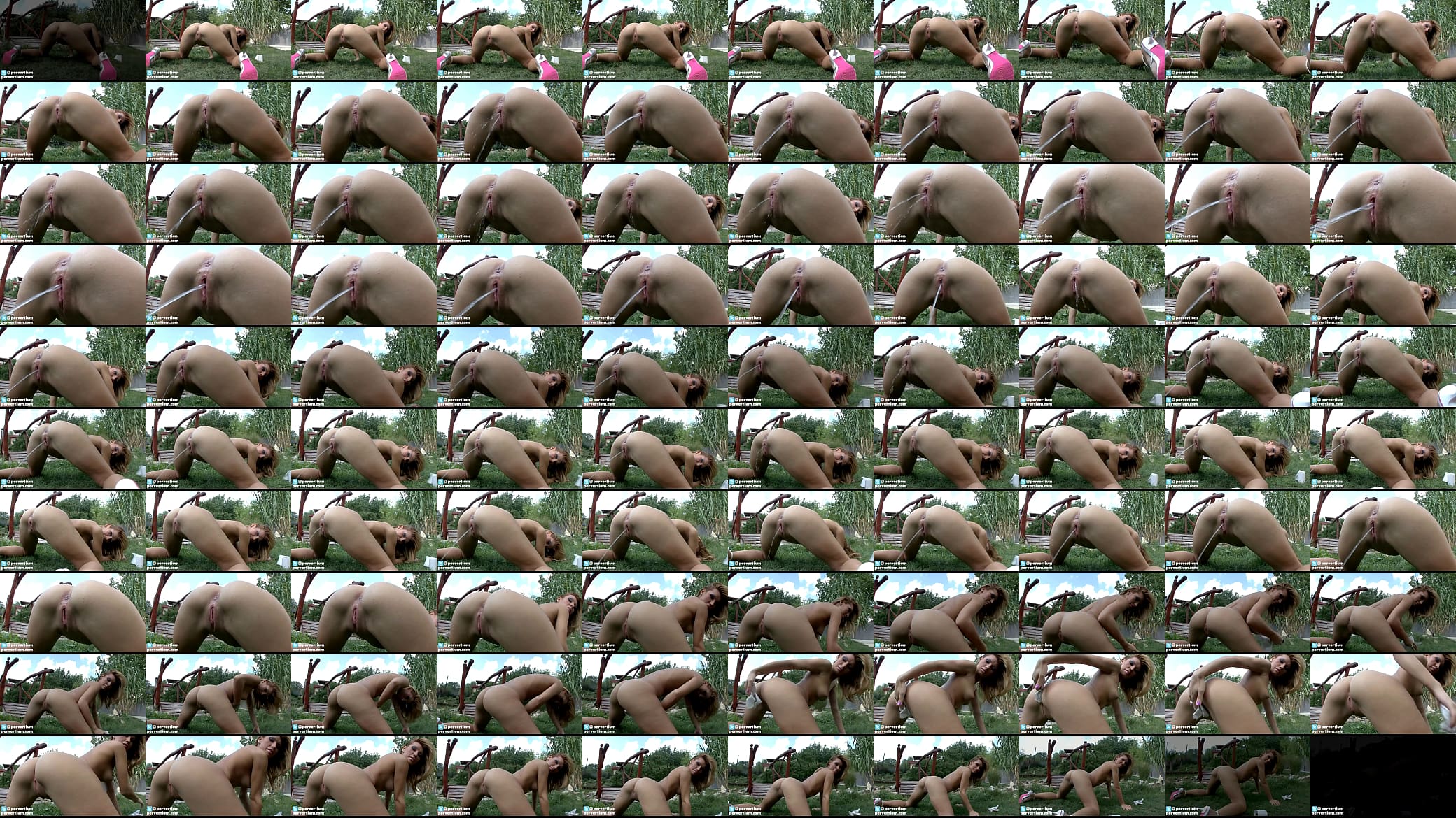 Outdoor Pissing In The Park 预览图