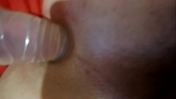 Profitez Du Laitier Costa Rica