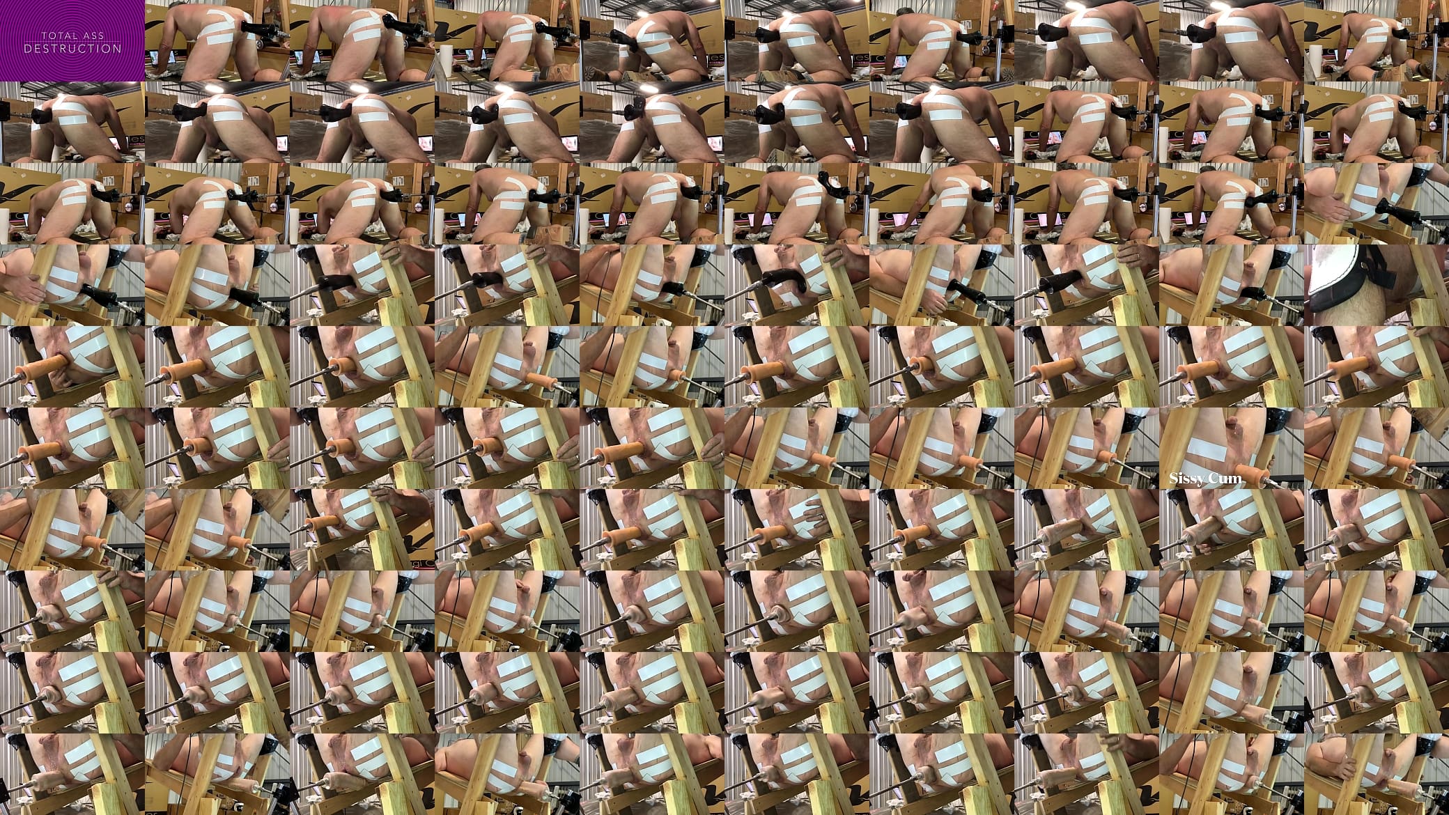 ASS DESTRUCTION 预览图