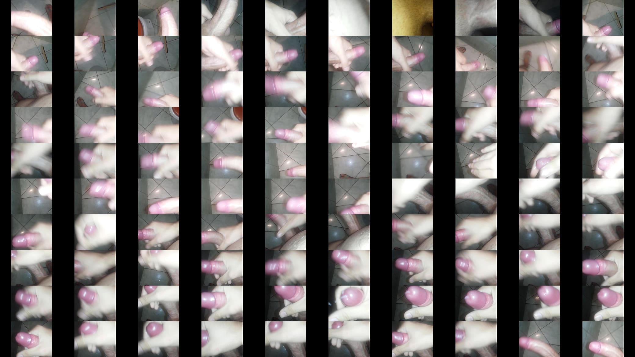 Beautiful cock 预览图