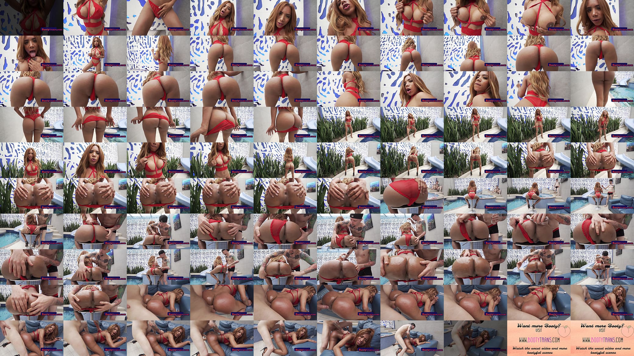 Big booty latina tgirl in lingerie barebacked 预览图