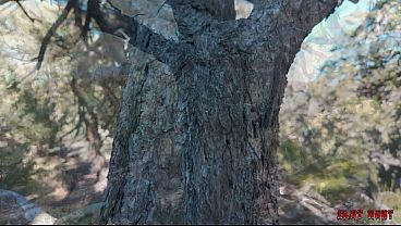 Slut Hunt Ep.10: Wrecking Willow