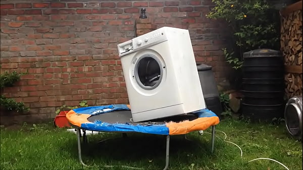 white and old bouncing on a brick in the yard