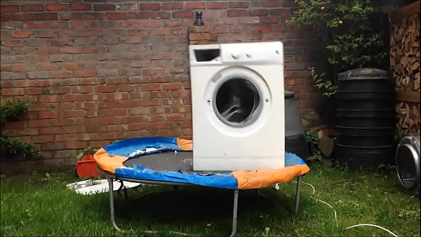  White And Old Bouncing On A Brick In The Yard