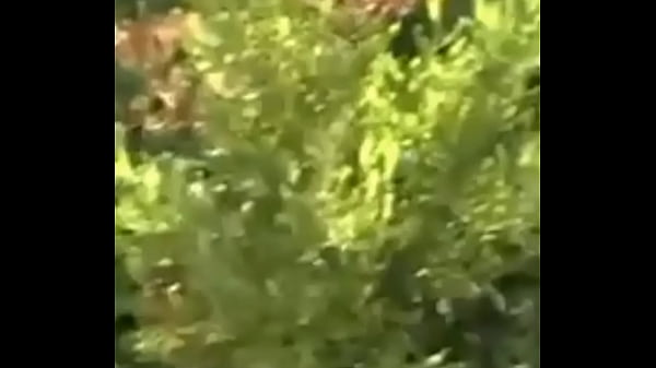 Rachel Starr fanvideo