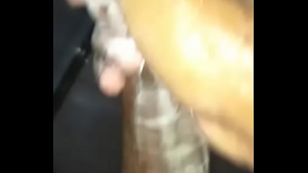 Punheta