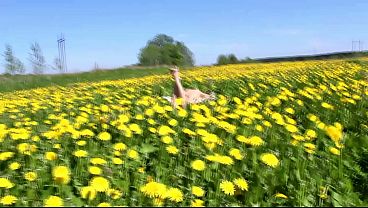 Blowjob from a Stranger Girl and Cum in Mouth