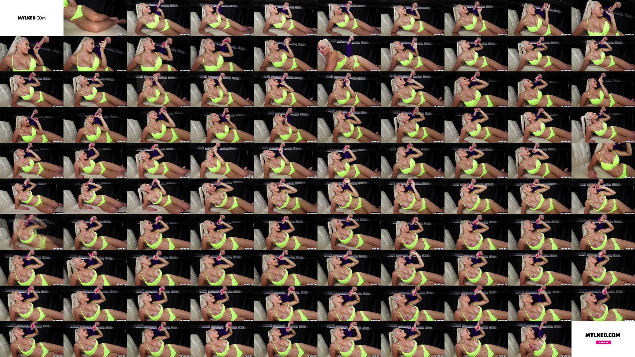 The Cock Whisperer 预览图