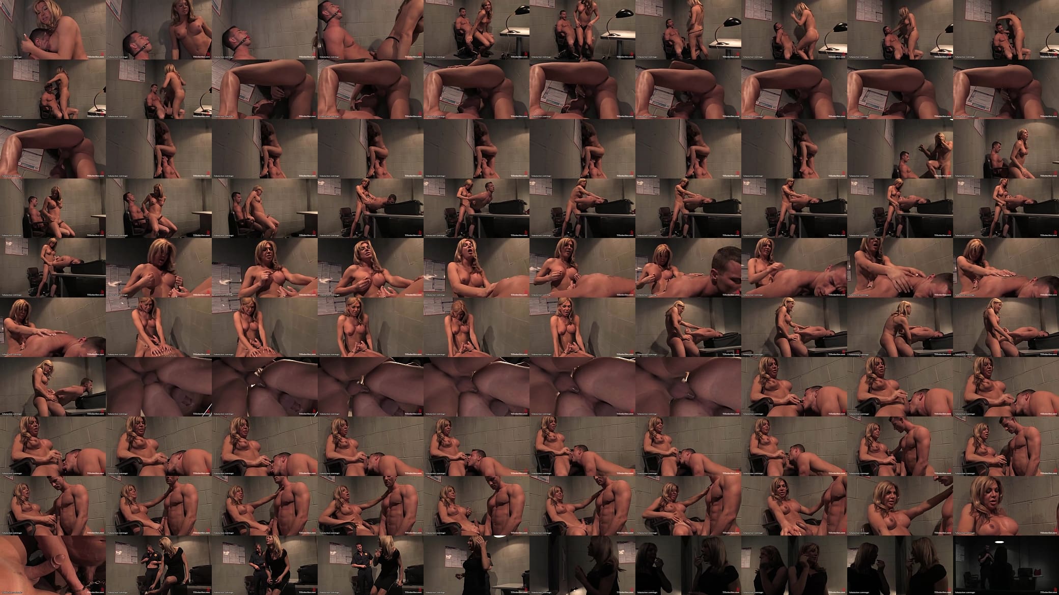 Huge tits shemale fuck security man 预览图