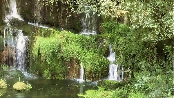 Dive into fetish domination