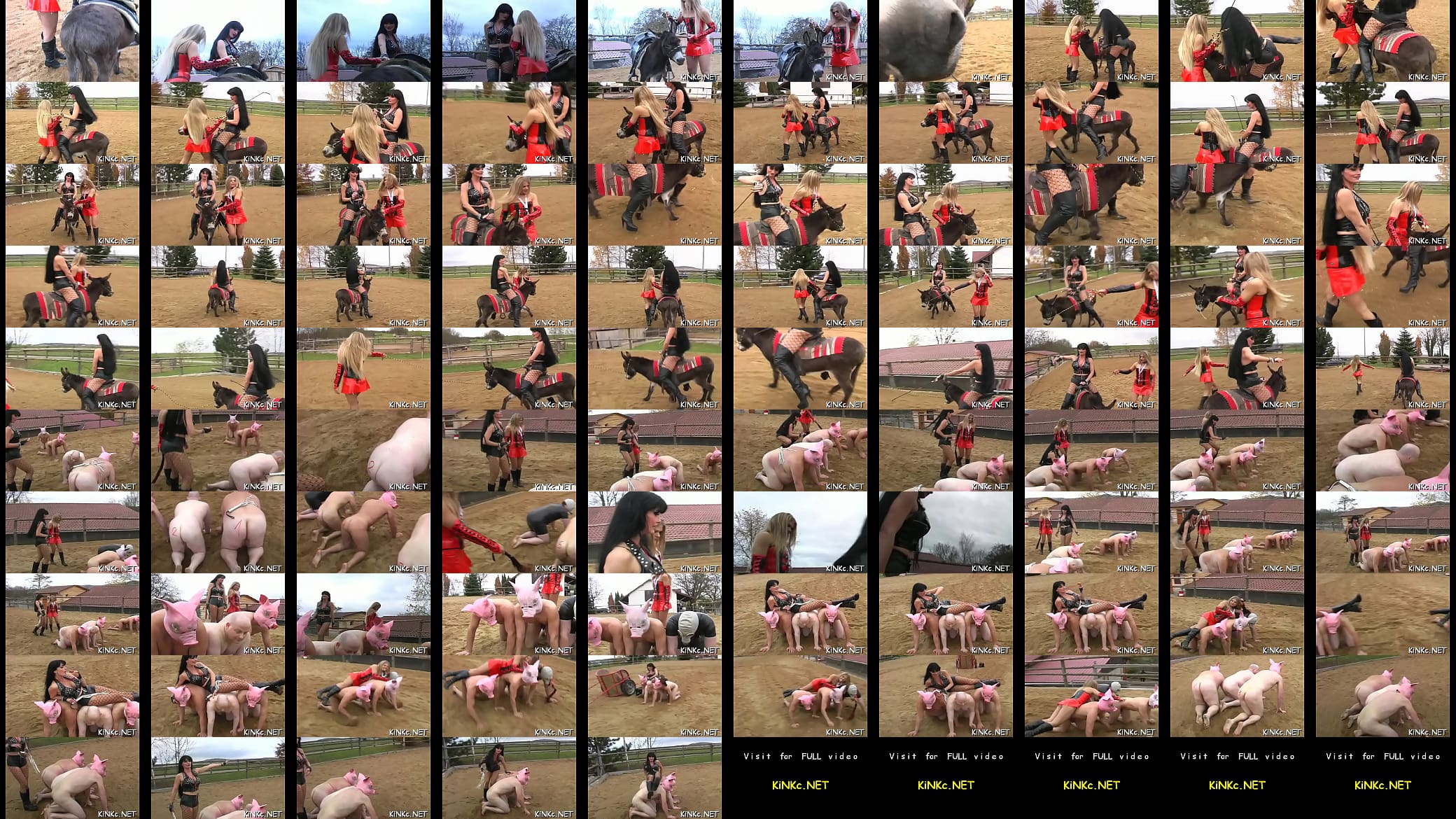 Playgirl c. and kicks slave 预览图