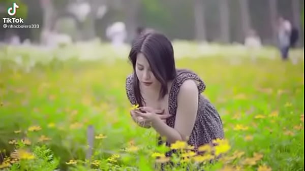 Video x&aacute;c minh