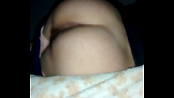 Bundinha passivo do sul