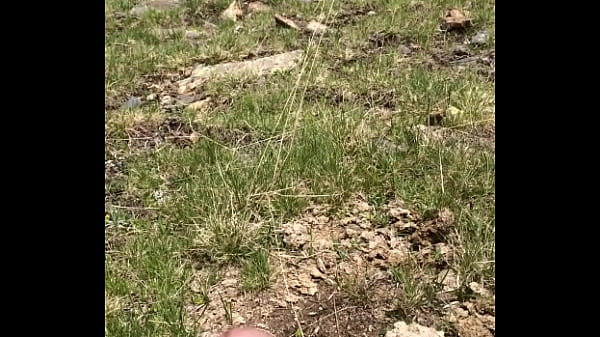 Dirty flies get inside foreskin of uncircumcise...