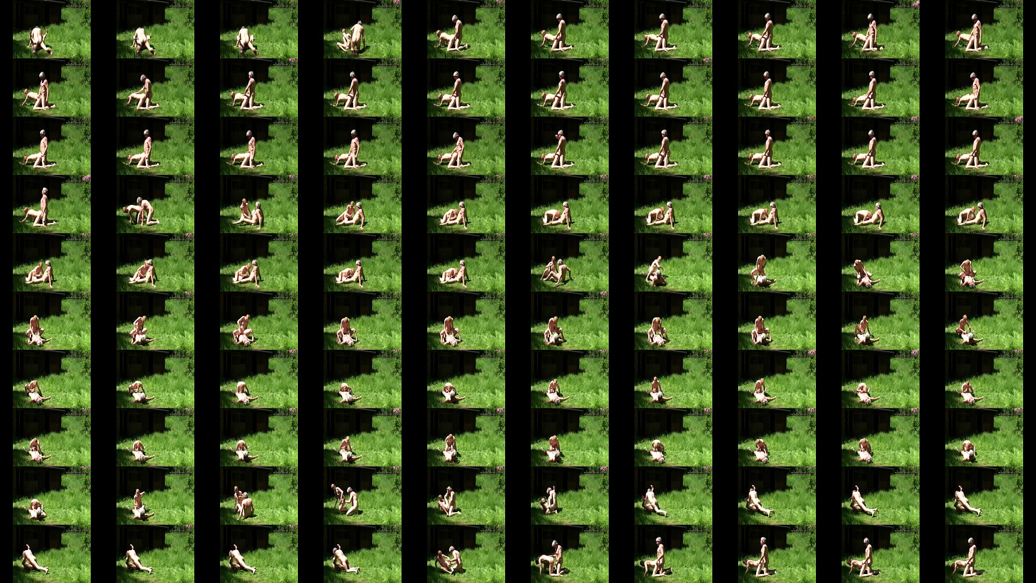Fucking pensioners in a green field 预览图