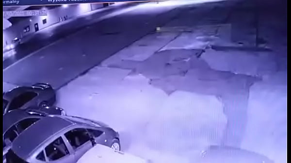 Kto to taki ssie 3 ptaki