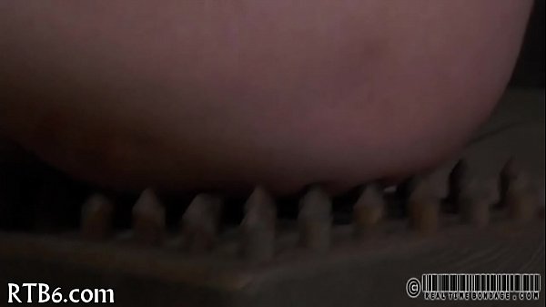 xv-ed52b6dc66151e4c636124c80362bea9