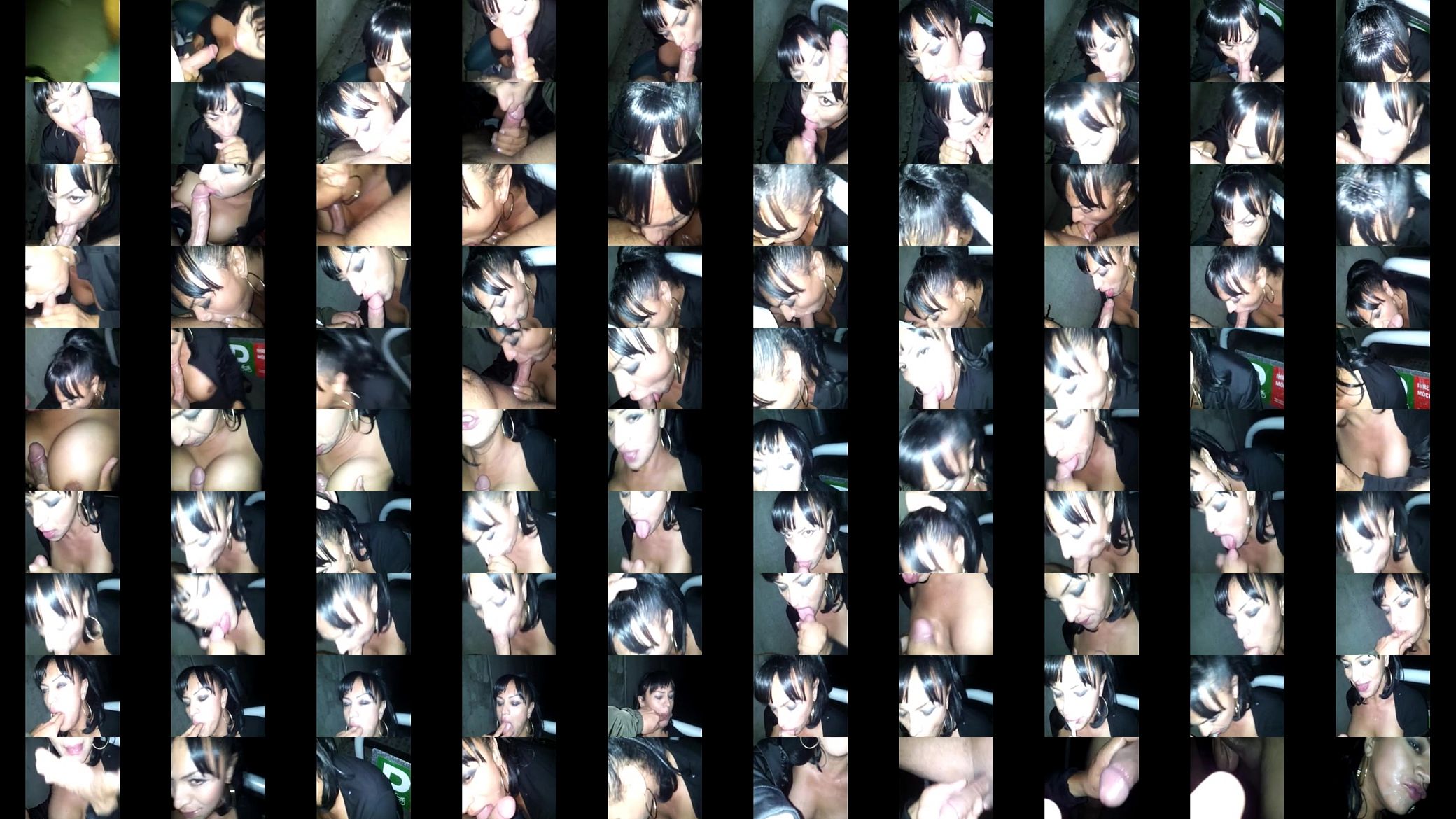 Trannys Give The Best Head 预览图
