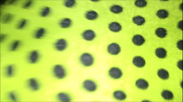 Download Video - Dando no cine ativo ZN com a calcinha fio verde achada e blusinha da Flavia esp do Mecanico 22112019