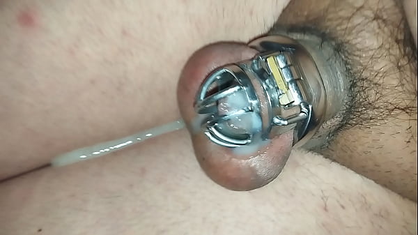 Sissydaniela busco amo