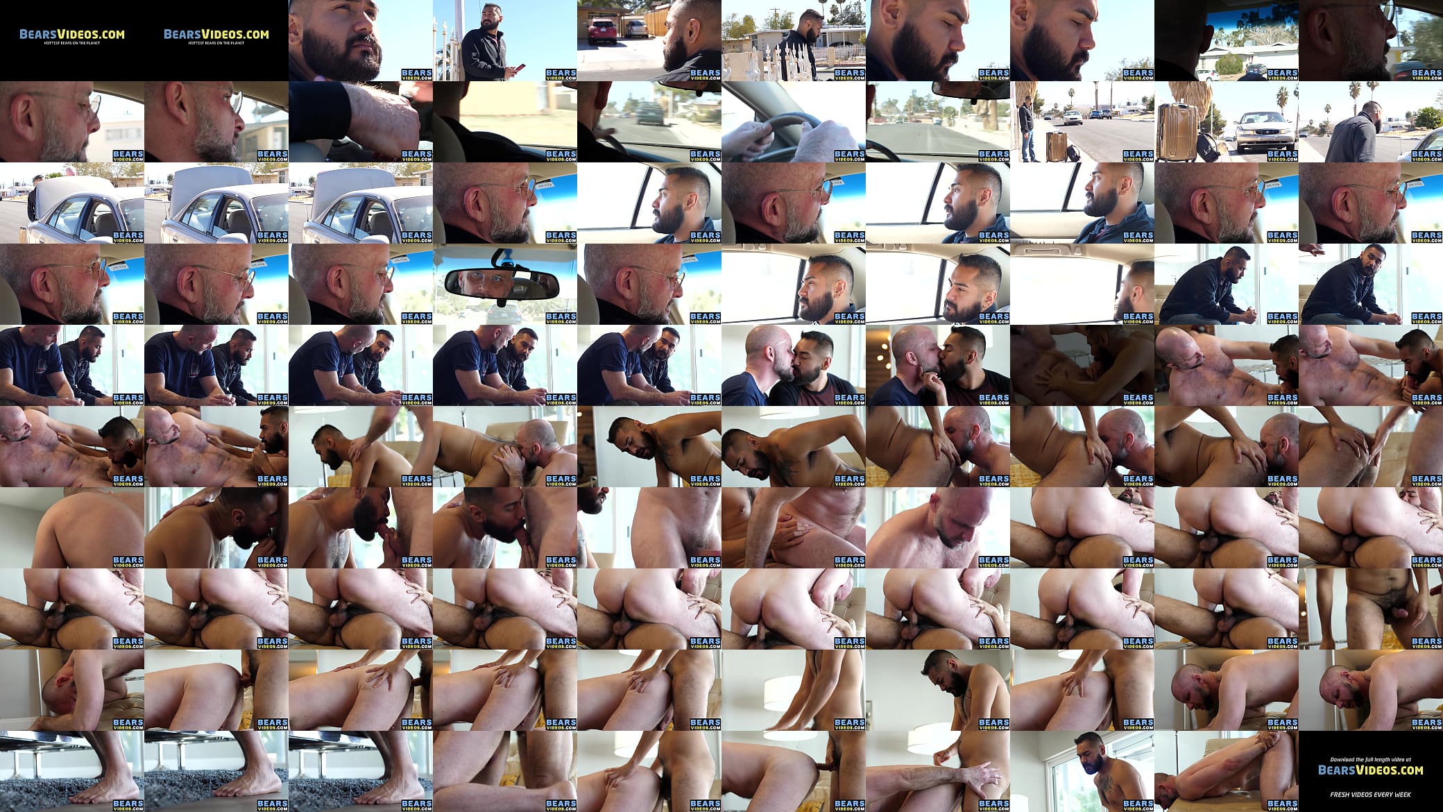 Kinky bear has steamy fuck session with bearded young cub 预览图