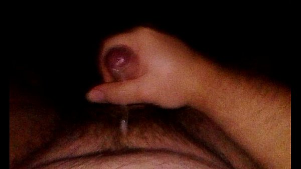 Lonely bear's late night wank