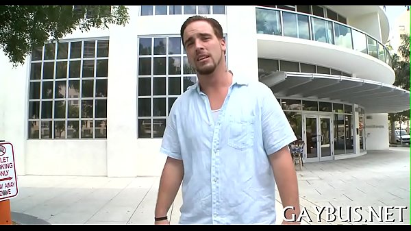 Homosexual porn wazoo