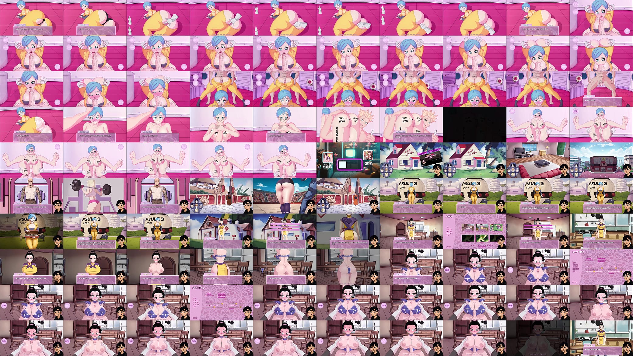Interdimensional Wish Dragon Ball We transform Bulma into a submissive obedient 预览图