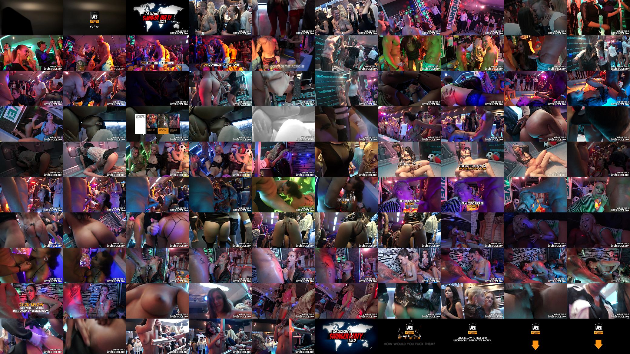 Swinger party goes hardcore... 预览图