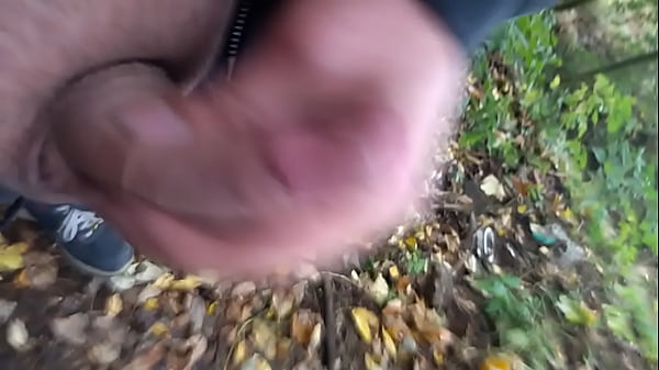 Je Poursuis Jan Dehors