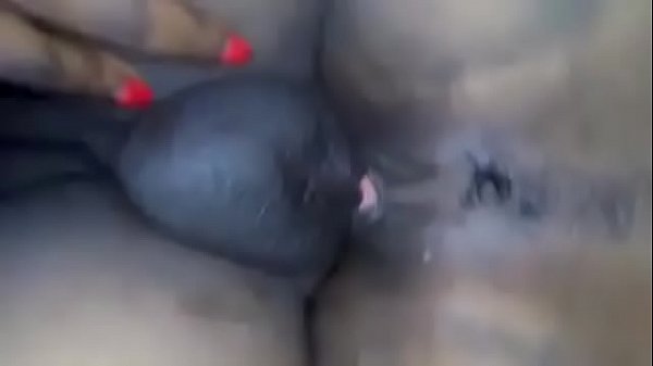 Video de vérification