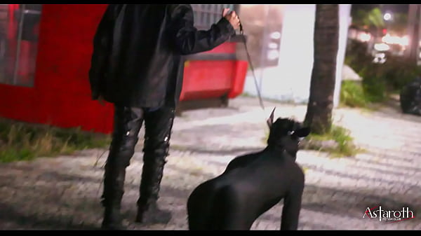 Master takes his pet dog for a walk in the City...
