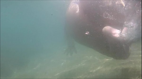 Diving in Bombinhas SC south of Brazil