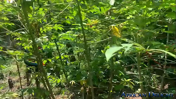 Behind the Scenes Outdoor Production