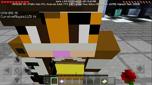 v. girl in minecraft