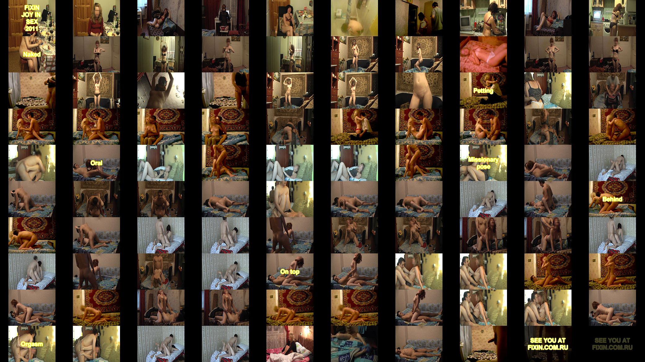 Fixin joy in sex 2011 预览图