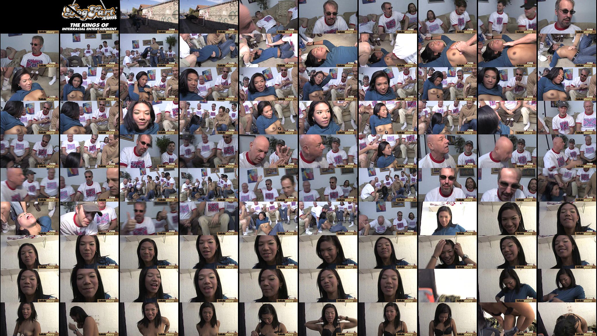 Ebony girl gang banged and covered in cum 14 预览图
