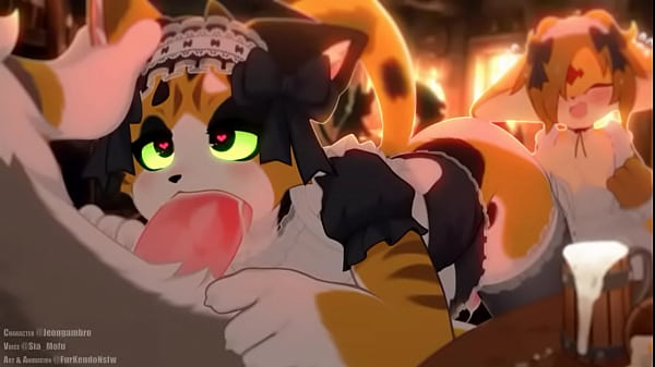 Calico cat gives out a bj to customer