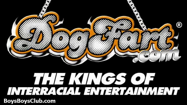 Hot muscled black gay boys humiliate white twinks hardcore 10