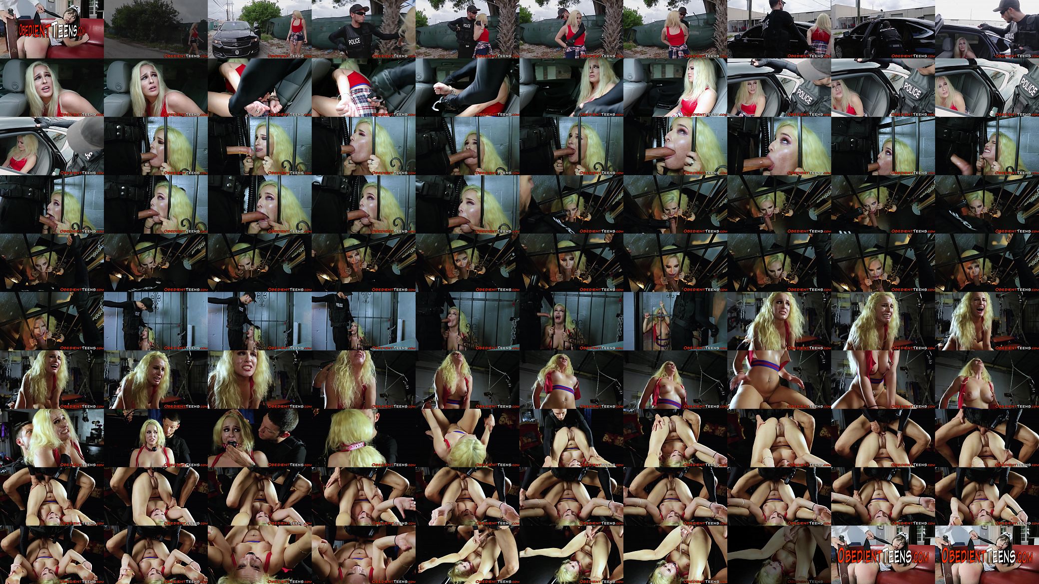 Vag pounded teen bound 预览图