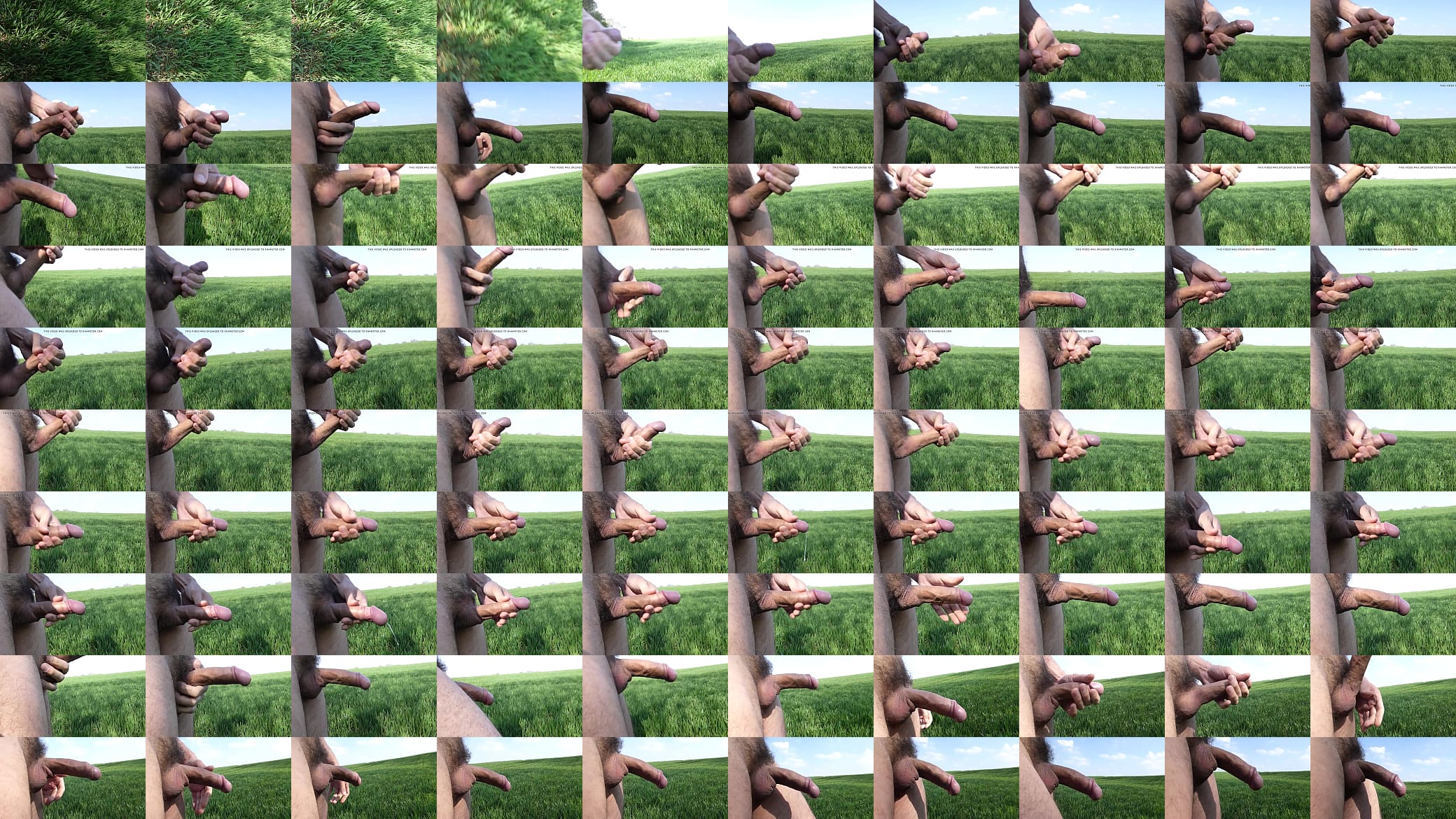 Jerking in fields03 预览图