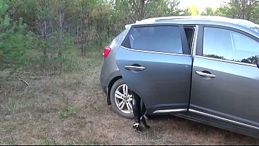 Leggings style business woman