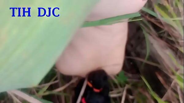 EX MISSING MY HIDDEN COCK FROM THE HORN | THE BOYFRIEND'S HORN DOESN'T PAY ATTENTION, SHE LOOKS FOR ME BEHIND MY BIG BOY | HOT NAUGHTY RABUDA CHEATING ON HER BOYFRIEND IN THE MATINHO