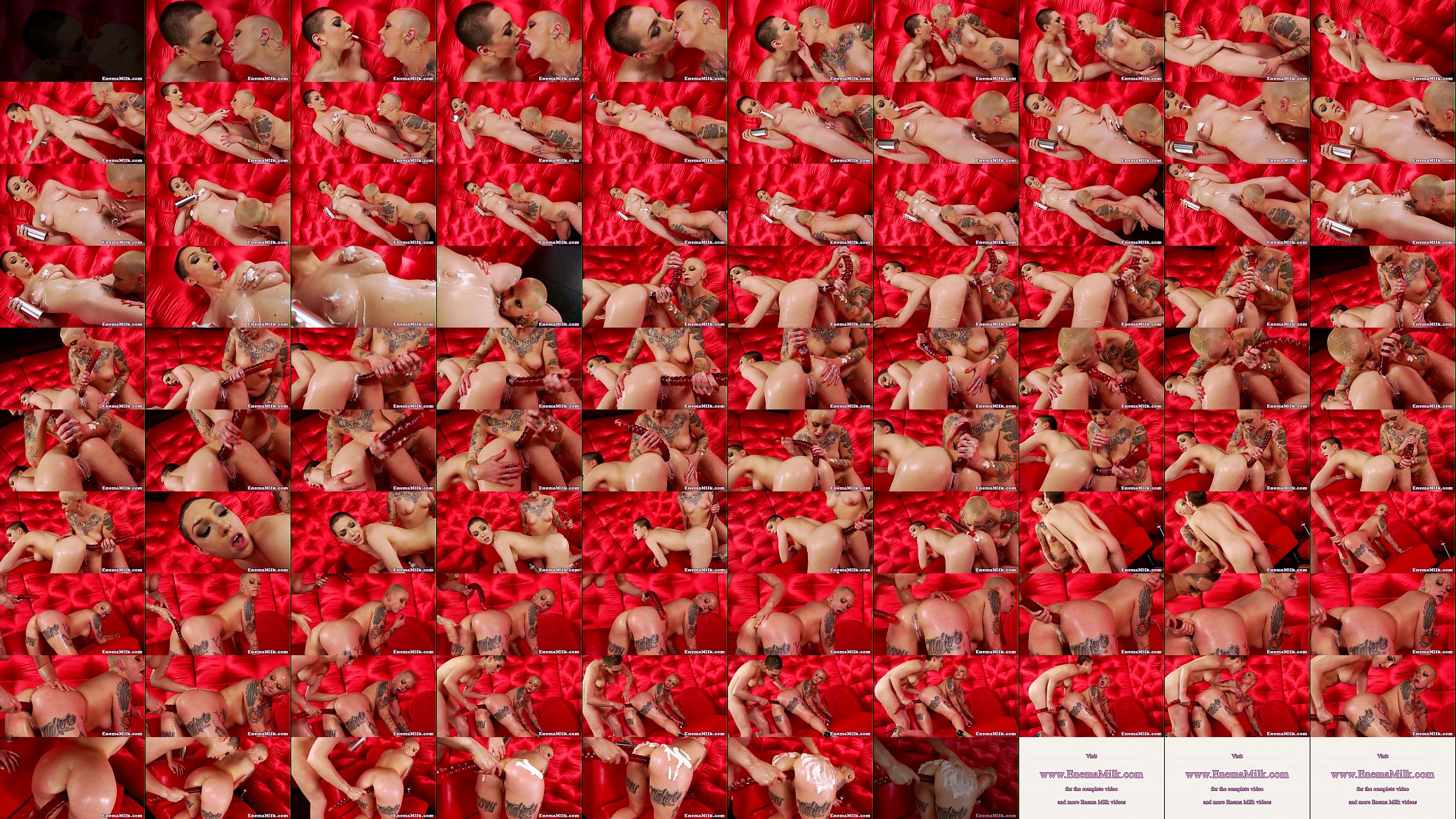 Pussylicking enema babes dildoing assholes 预览图