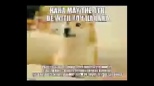 It's ok Doge is here