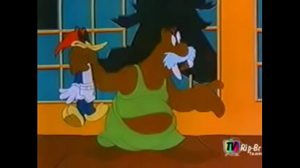 Woody Woodpecker the Beach Fool