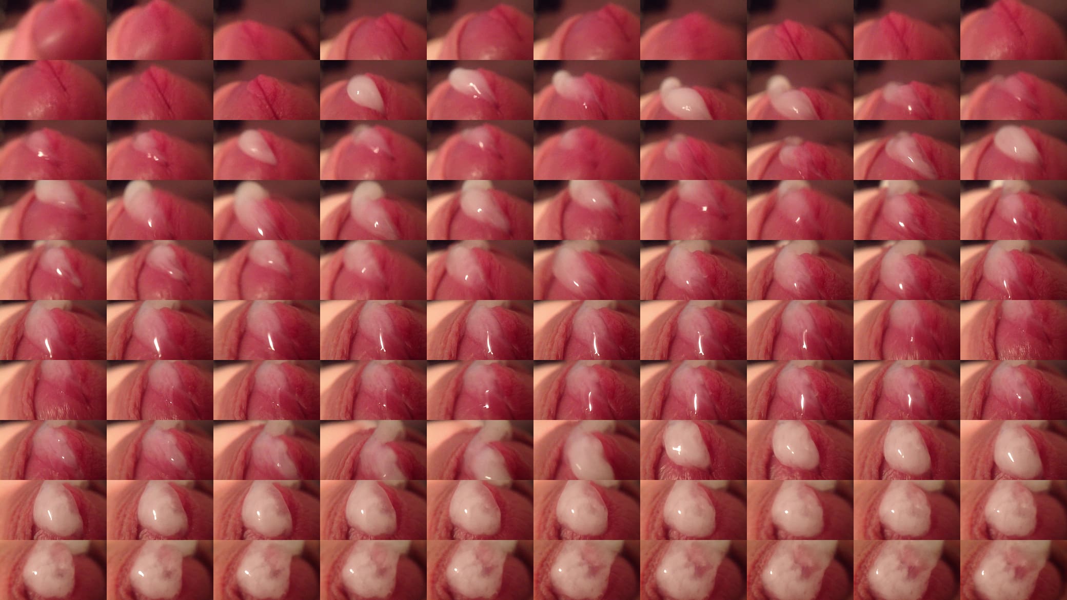 cum from my penis 预览图