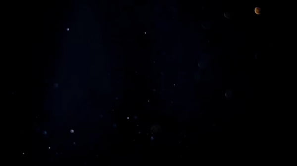 M&eacute;nage com MILF brasileira maravilhosa montando numa grande vara preta