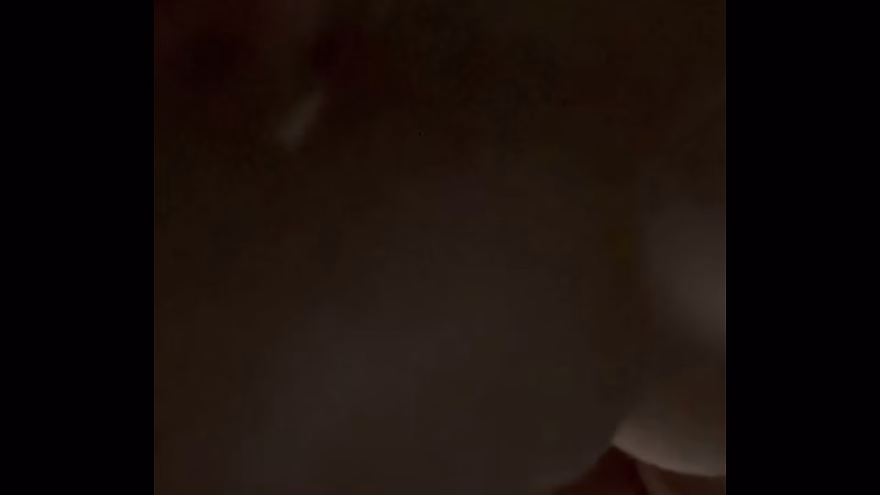 Polakito - update #15 - IMG 0849 - Apr 06, 2026